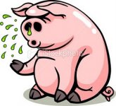 swine-flu-sick-pig.jpg