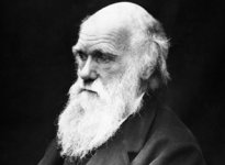 Charles_Darwin.jpg