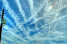 holly-chemtrail.jpg