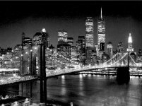 silbermann-henri-brooklyn-bridge-.jpg